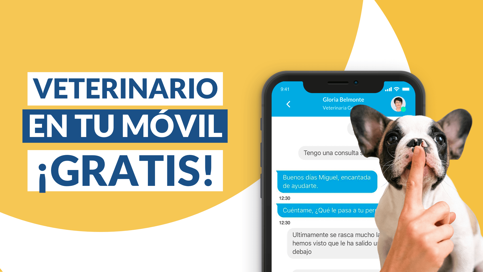 app chat veterinario Doctor i